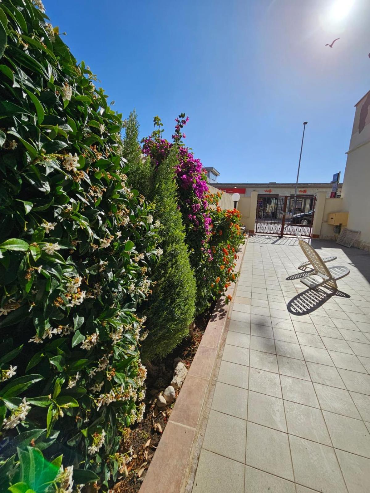 Bebo House Fiumicino Apartment Exterior photo